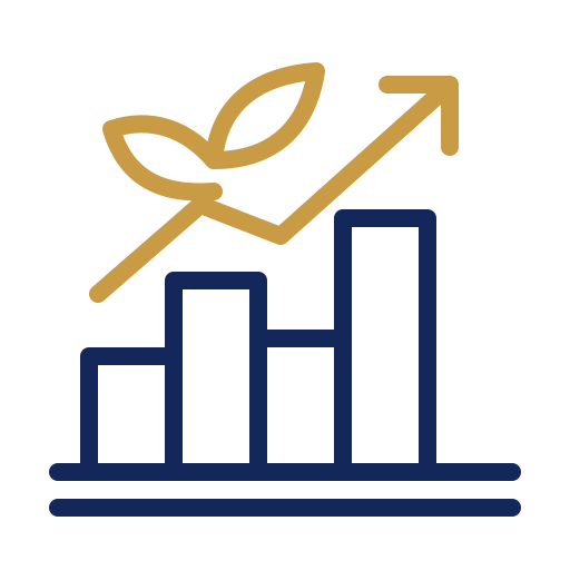 Comprehensive development